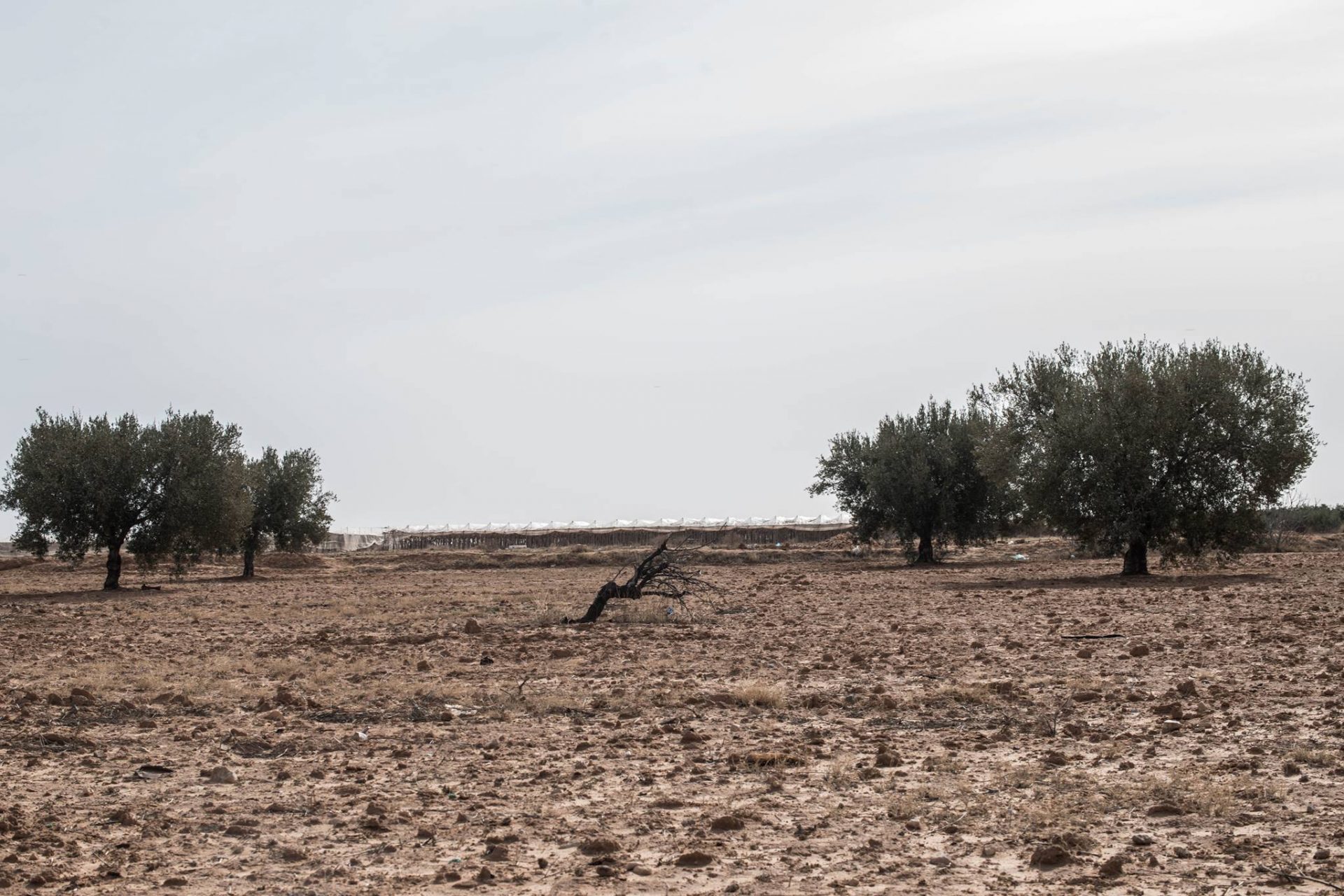 Tunisia: pollution and drought
